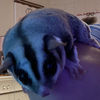 raganisweird1